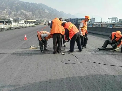 瓯海道路桥梁病害治理